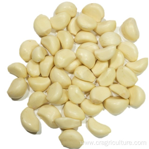 Hot Sale Chinese Peeled Garlic Vegetable